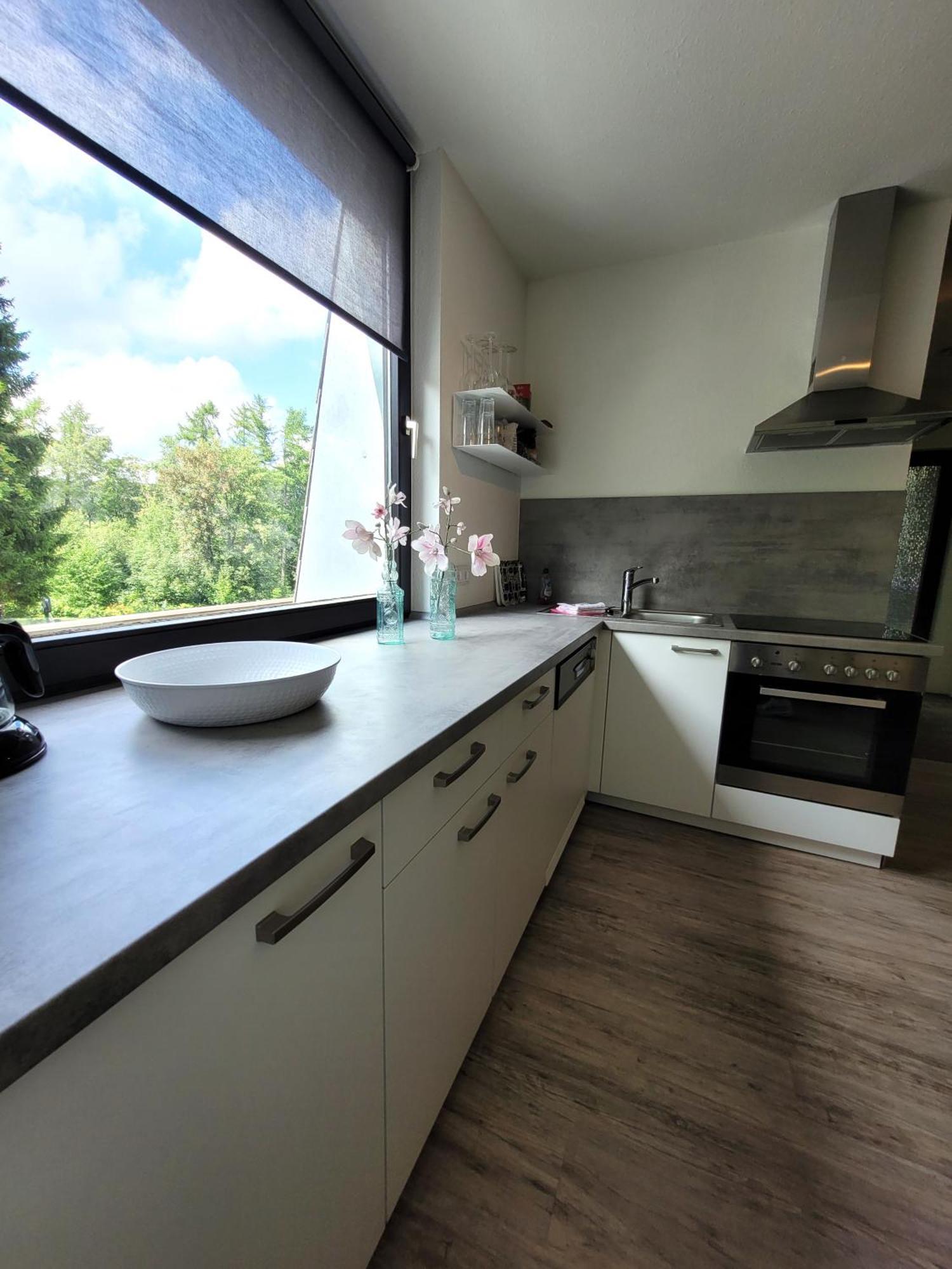 Winterberg Appartement 21097 Extérieur photo
